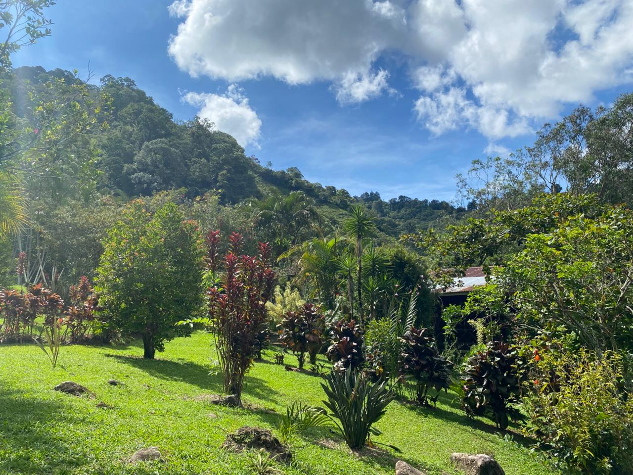 Finca y lagos - Truchas San Ignacio 10