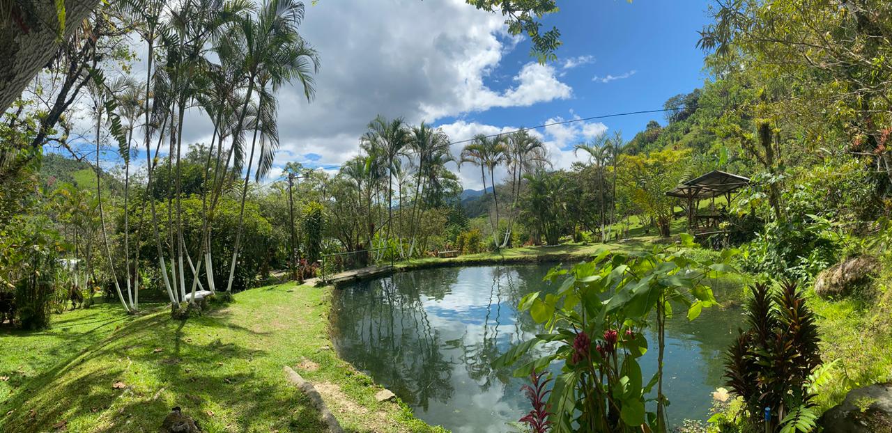 Finca y lagos - Truchas San Ignacio 6
