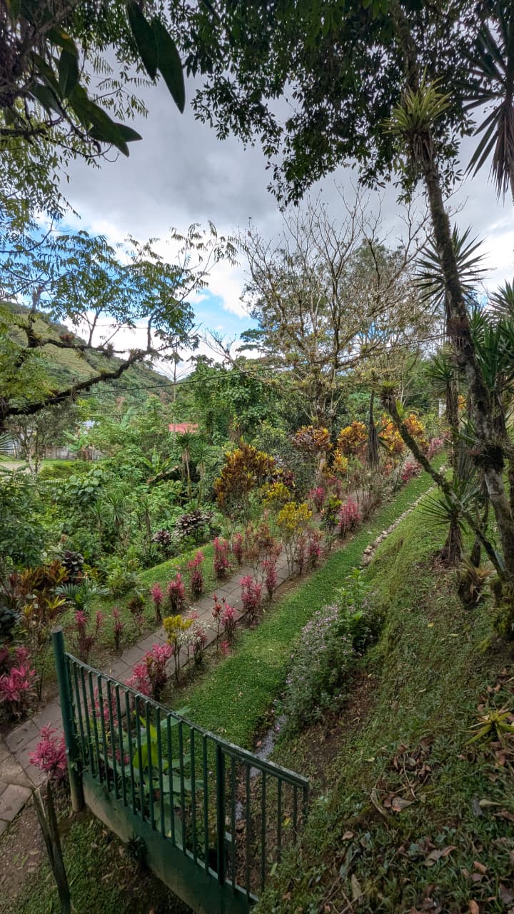 Finca y lagos - Truchas San Ignacio 9