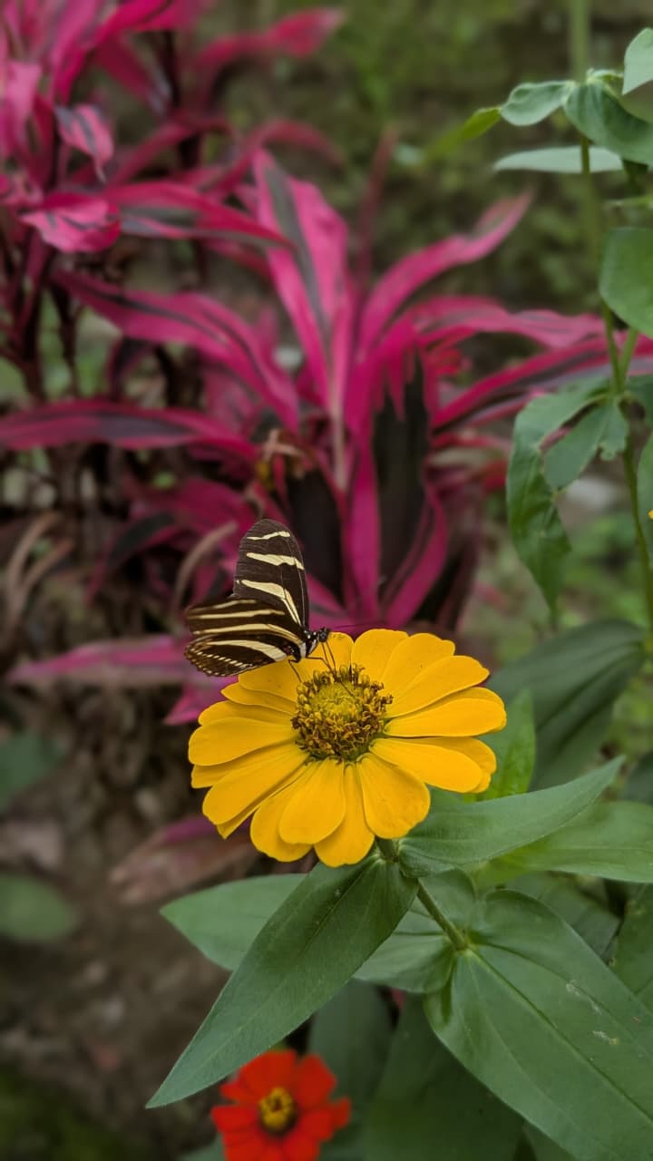 Flora y fauna - Truchas San Ignacio 10