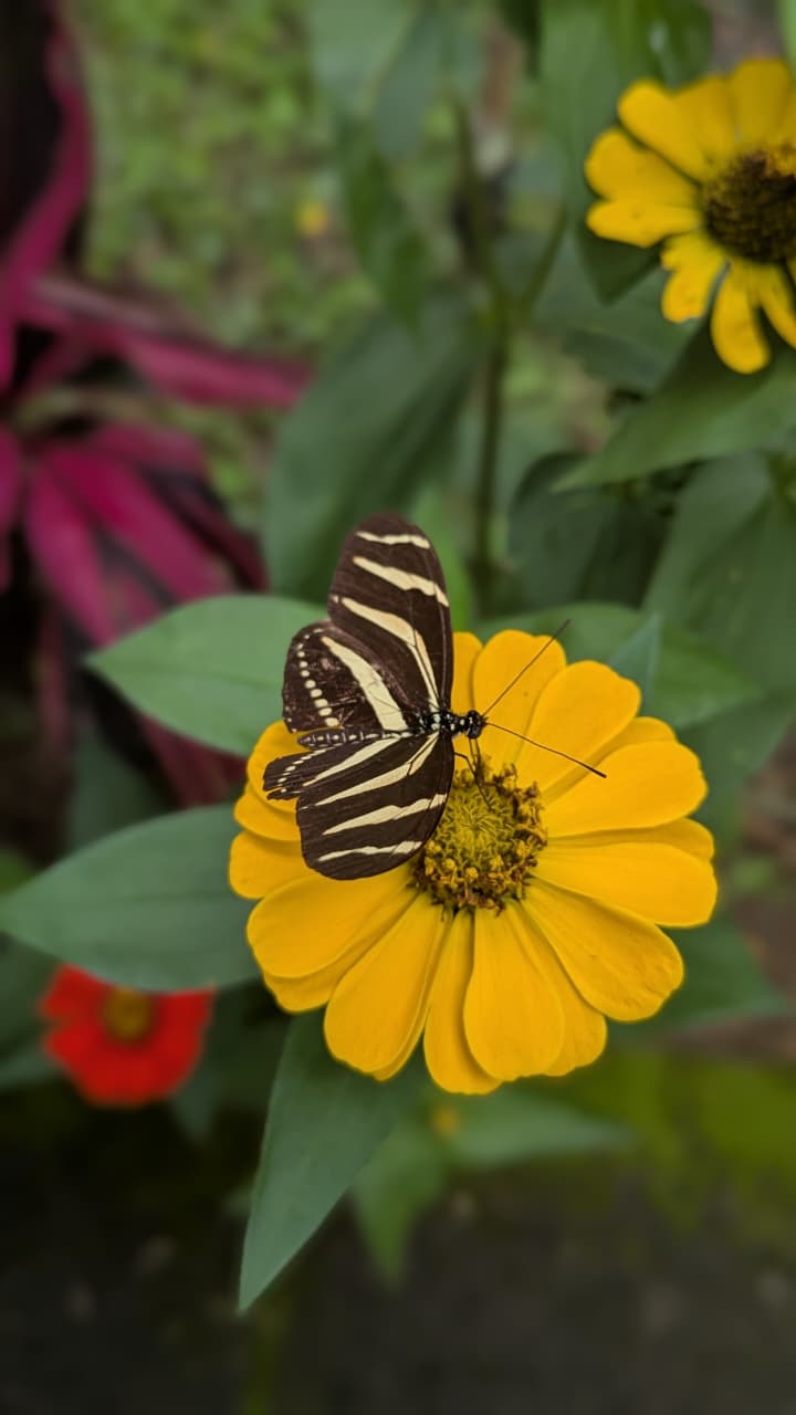 Flora y fauna - Truchas San Ignacio 11