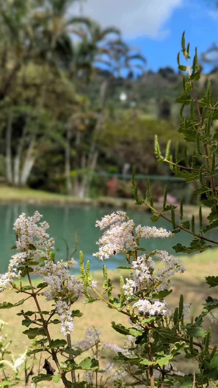 Flora y fauna - Truchas San Ignacio 12
