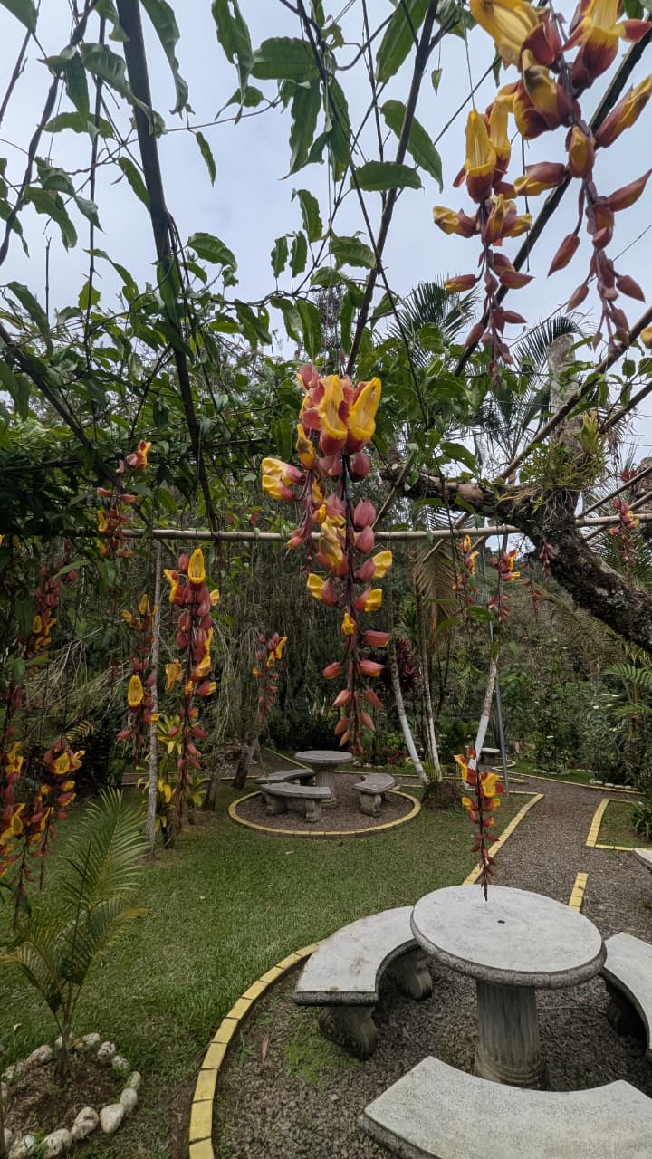 Flora y fauna - Truchas San Ignacio 14