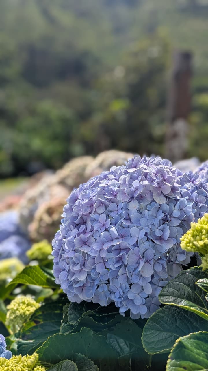 Flora y fauna - Truchas San Ignacio 2