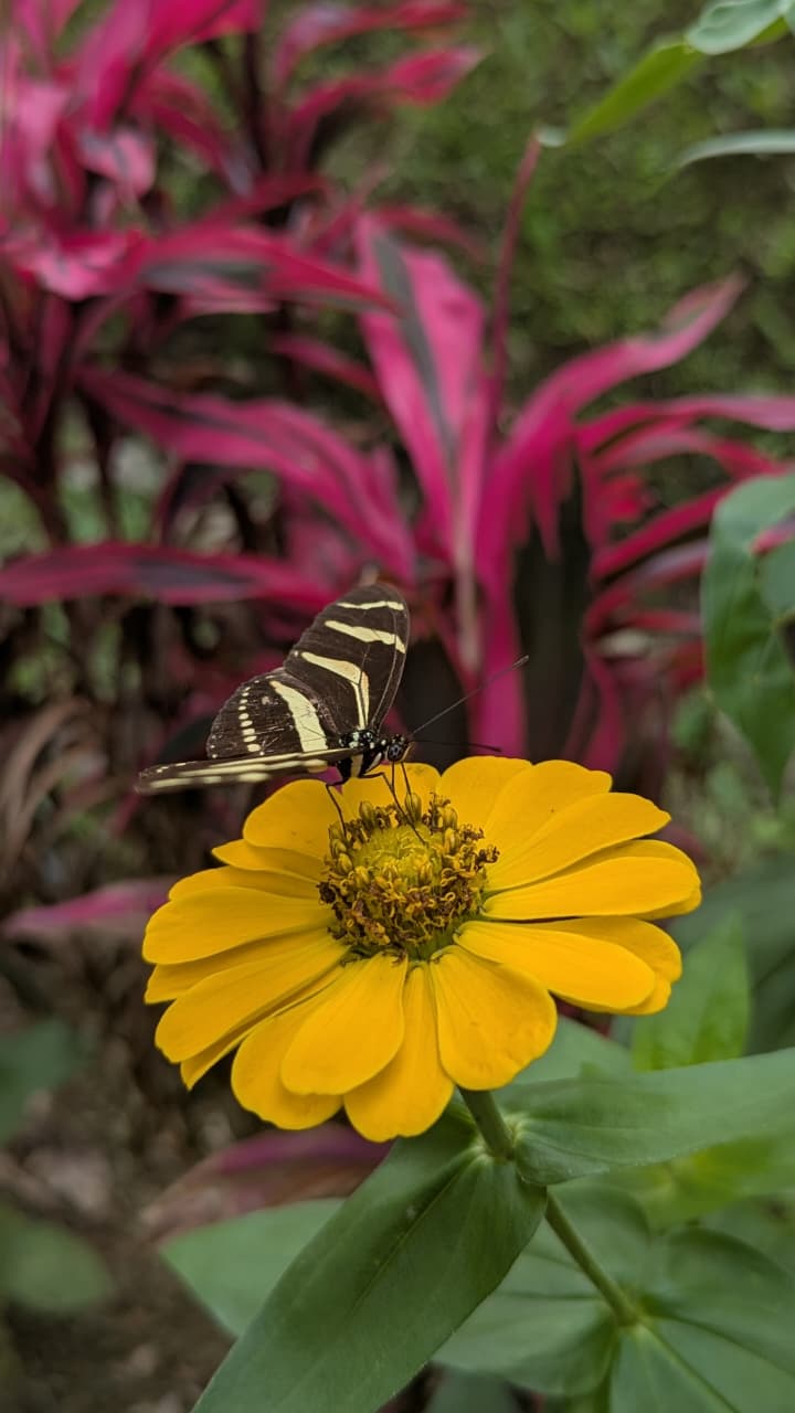 Flora y fauna - Truchas San Ignacio 4