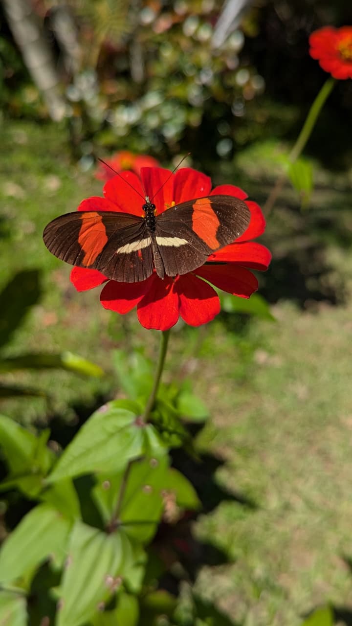 Flora y fauna - Truchas San Ignacio 5