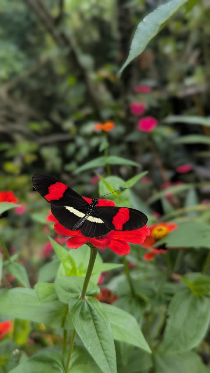 Flora y fauna - Truchas San Ignacio 8