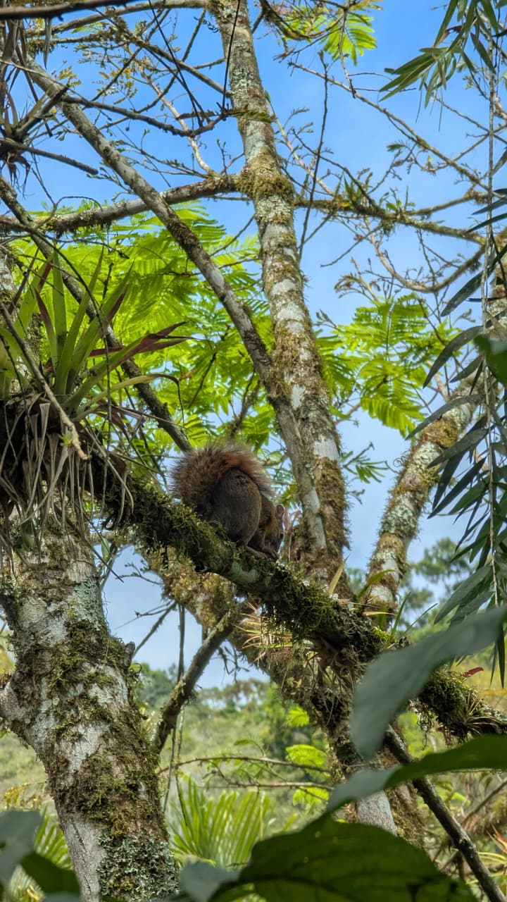 Flora y fauna - Truchas San Ignacio 9