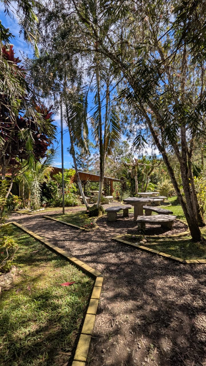 Restaurante - Truchas San Ignacio 11