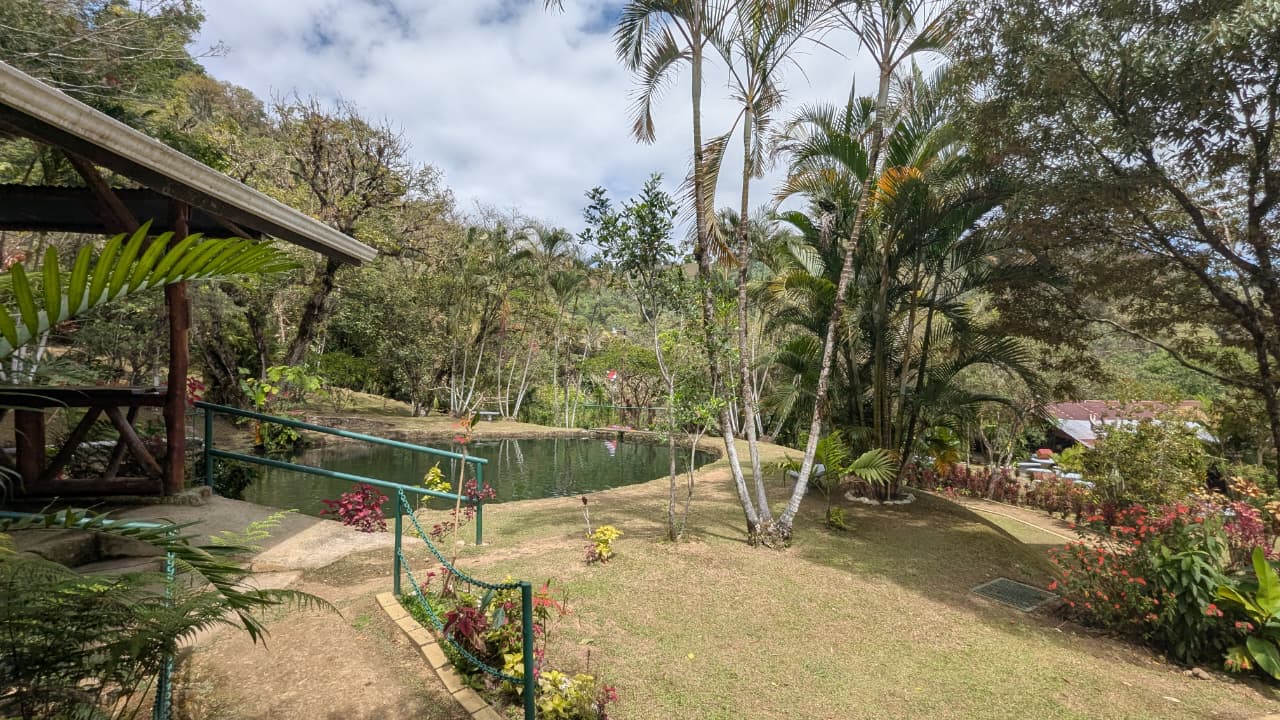 Estanques de pesca