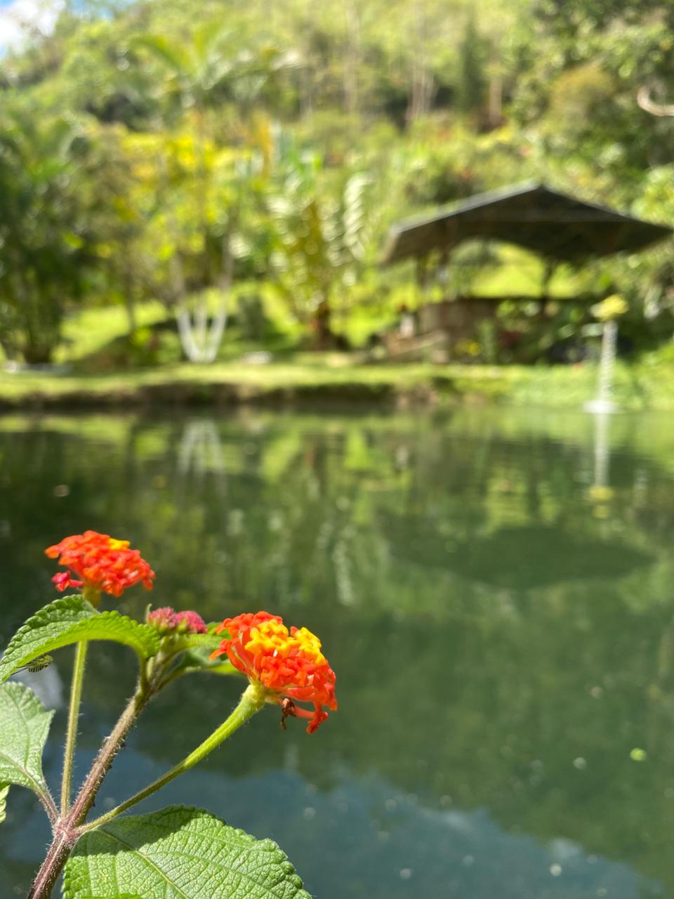 Lago principal de Truchas San Ignacio
